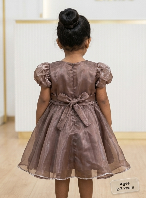 Girls Fancy Frock