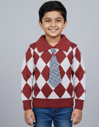 Stylish sweater for boys