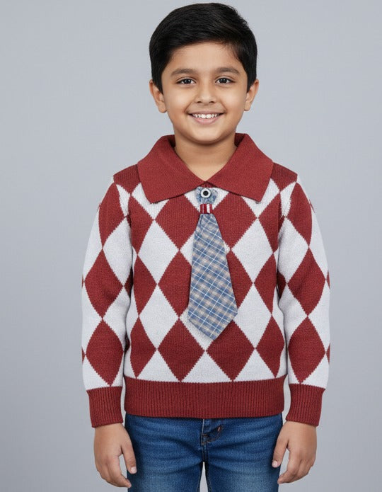 Stylish sweater for boys