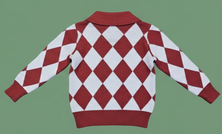 Stylish sweater for boys