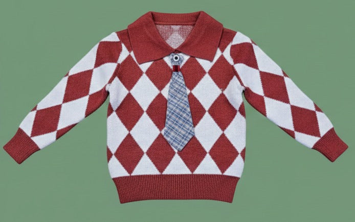 Stylish sweater for boys