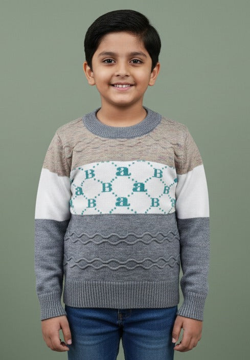 Sweater for boys