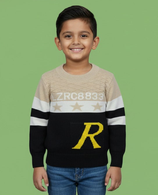 Sweater for boys