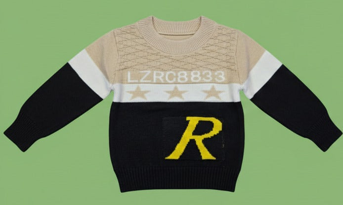 Sweater for boys