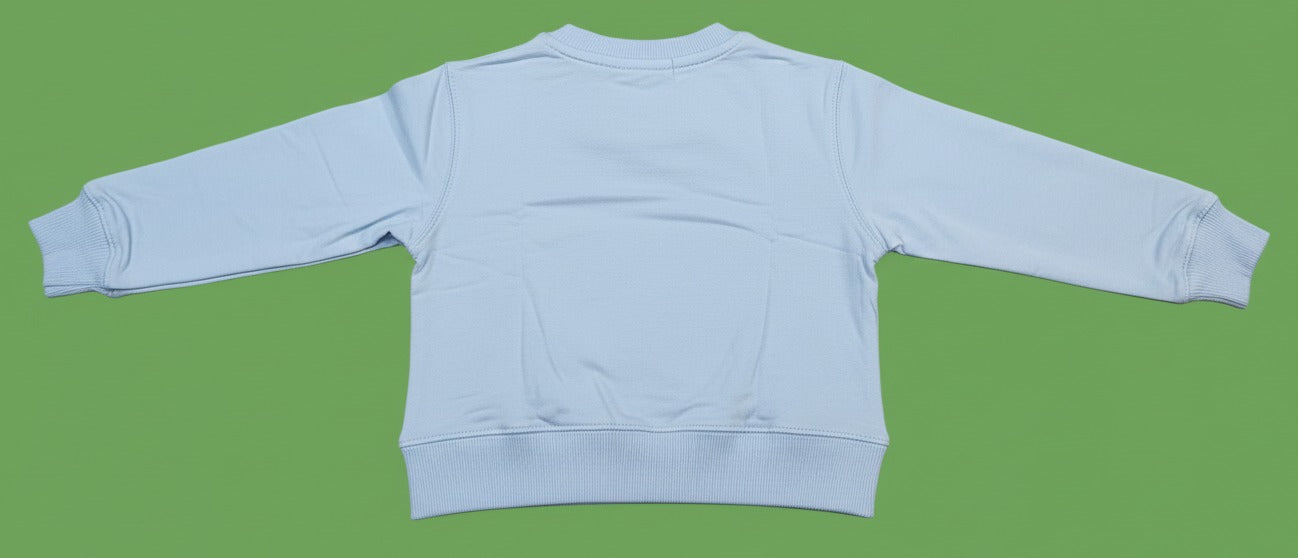 Light Blue Sweatshirt